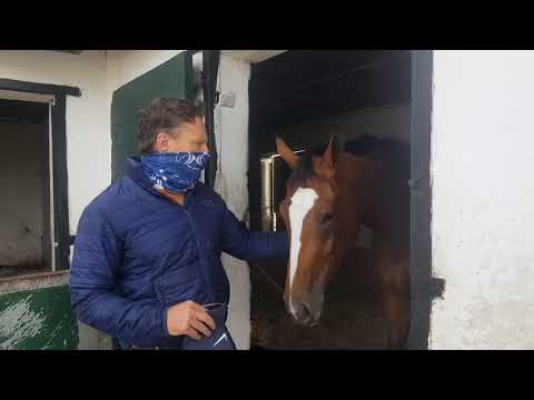 CAPTAIN'S RANSOM IS A "SUPERSTAR"