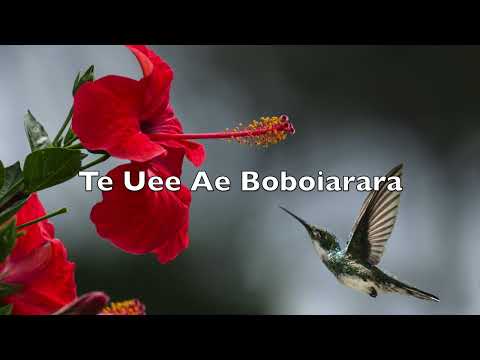 Te Uee ae Boboiarara