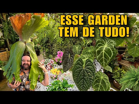 PLANT ADDICTION? COME GET TREATMENT AT THIS FLORIST - garden