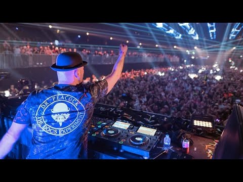 Dr. Peacock & Ally The Piper - Trip To Scotland