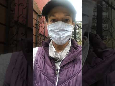 Walk Your Horse in Harlem