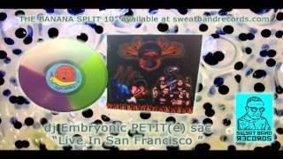 DJ embryonic Petit SAC... Live in San Francisco...