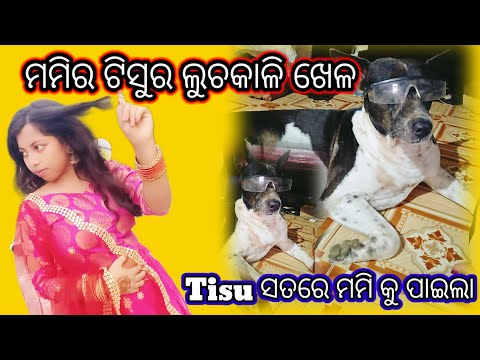 #ମମି ର ତିସୁର ଲୁଚକାଳି ଖେଳ#ଲୁଚକାଳି#viralvideo#Odia love channel#trending#youtube#minivlog#shortvideo