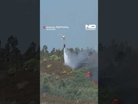 Portugal battles major wildfires during intense summer heat #nocomment #shorts #youtubeshorts