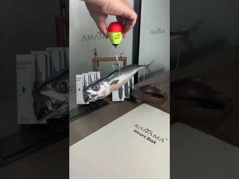 Monster Fish Fight! 💪 Fishing Adventure