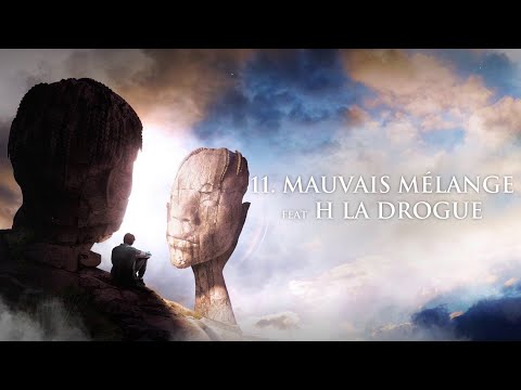 Video thumbnail for Mauvais Mélange