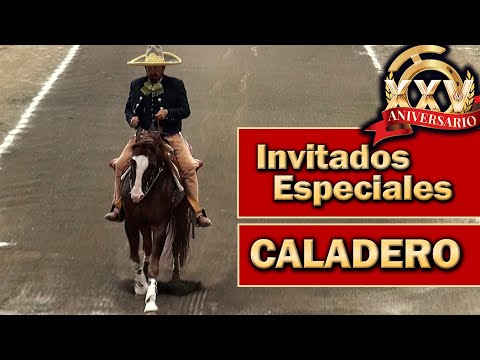 Fishing Ground Special Guests Part 1 - 2022 THV Millionaire Championship