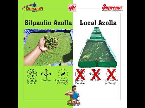 Plastic multilayer tarpaulins azolla sheet, thickness: 70 gs...