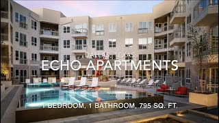 Echo Apartments, Dallas, TX: 1 Bedroom
