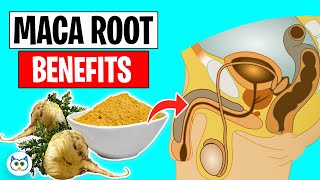 9 Maca Root Benefits You’ll Be Amazed To Know