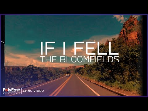 If I Fell - The Bloomfields