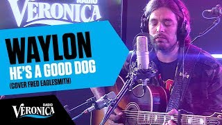 Waylon covert Fred Eaglesmith&#39;s He&#39;s A Good Dog // Live bij Radio Veronica