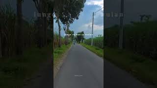 Download lagu Story Wa - Tanjung Mas Ninggal Janji mp3