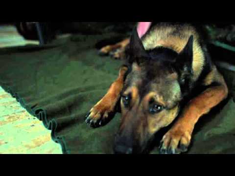 HBO LATINO PRESENTA: MAX - PROMO