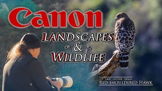 Canon with an  anamorphic lens wildlife and landscapes - such beautiful mornings! 💖