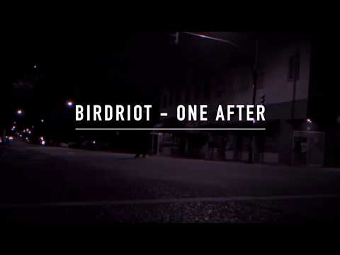 Birdriot - One After