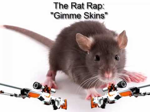 Rat rap : "Gimme Skins"