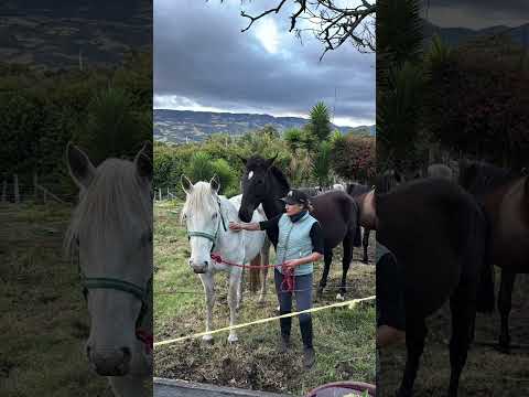 Centro Ecuestre Yolanda Morales (Subachoque Cundinamarca)