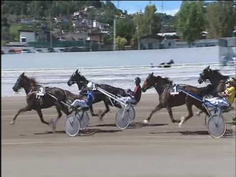 Trotto 14/05/2017 - 2ª corsa