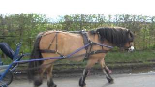 preview picture of video 'Murthly Horse and Cart'