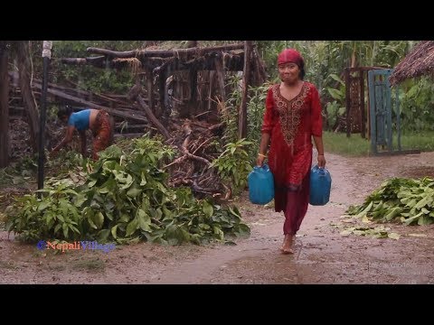 Making bread from wheat flour and enjoying together by family ll Wheat flour recipe