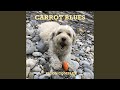 Carrot Blues