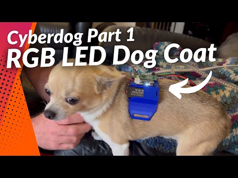 YouTube Thumbnail for Cyberdog - RGB LED Coat for my Dog - part 1