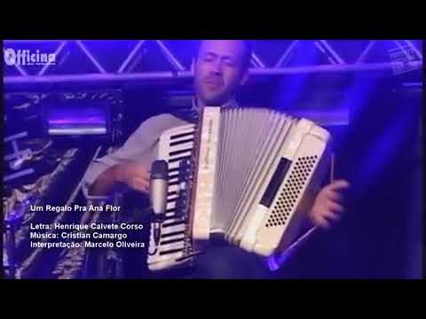 Um Regalo Pra Ana Flor video