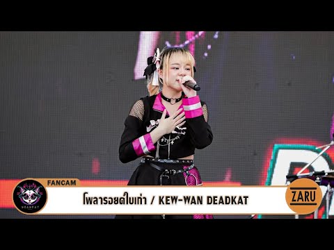 Kew-wan DEADKAT / โพลารอยด์ใบเก่า [Fancam] JAPAN EXPO THAILAND 2023 :: 05 FEB 2023