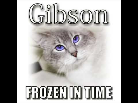 Steve Cash - Frozen In Time (Gibson's Memorial) - JayTheBillZ Mix
