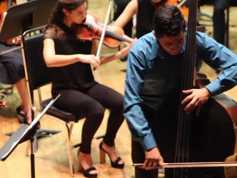Dragonetti/Édouard Nanny Double Bass concerto in A Major MOV I