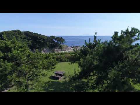 荒崎海岸【空撮】 - m80018