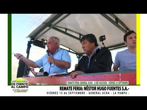 DE FRENTE AL CAMPO junto al SECTOR PRODUCTIVO- REMATE FERIA -NHF-