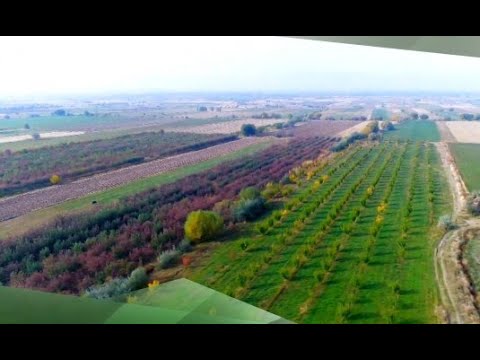 Bərəkət - 11.06.2021