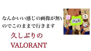 【VARORANT】久しぶりの練習画面