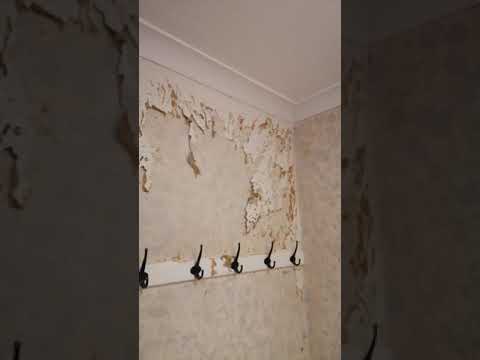 How to easily remove woodchip wallpaper