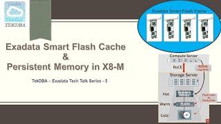 Exadata Smart Flash Cache (ESFC) & Persistent Memory in X8-M ||Oracle Exadata Architecture Explained