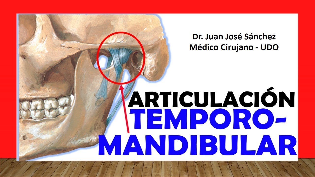 🥇 TEMPOROMANDIBULAR Joint. Easy, Quick and Simple