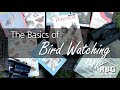Bird Watching for Beginners