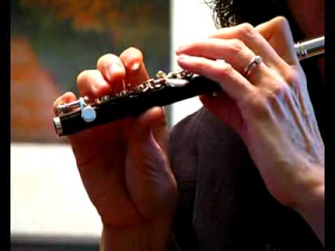 Di Zhao Piccolo w/ Resin Body and Silver-Plated Head - Demo of High Register