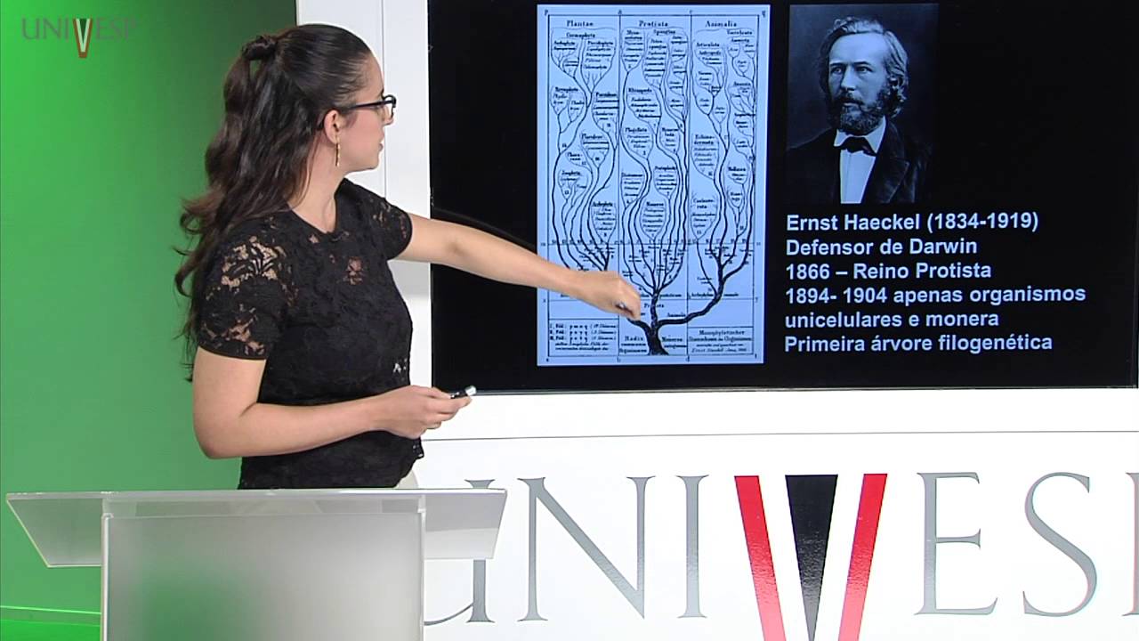 Zoologia de Invertebrados - Aula 02 - Classificação, sistemática e filogenética