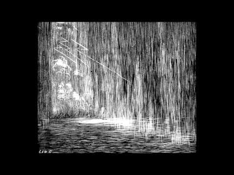 Rainwater - Robert Frith