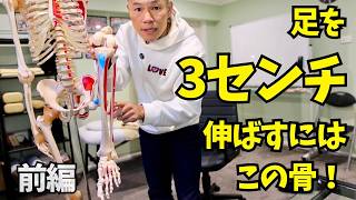 【足3cm伸ばす/前編】O脚・ししゃも足・むくみはここが原因!人体で2番目に太い「〇〇骨」をほぐして美脚ラインを作る骨学講義【VOL.3】