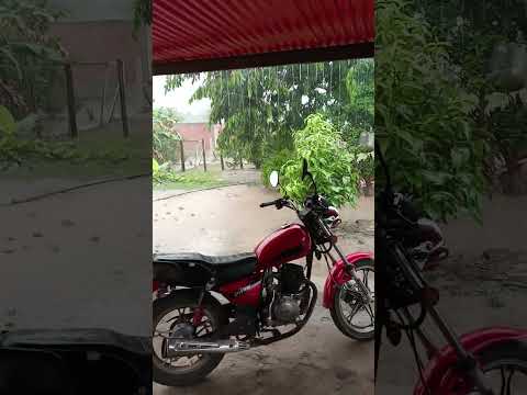 lluvia de bendición en Arismendi estado Barinas