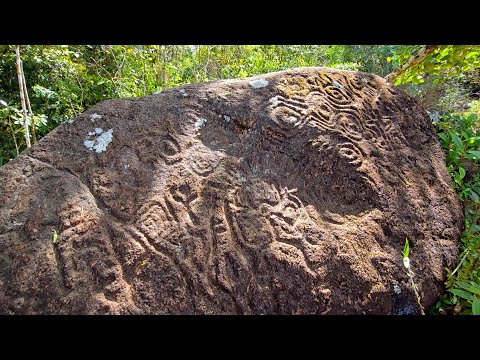 Reserva Forestal El Montuoso, Chepo, Provincia de Herrera, Las Minas, Panama