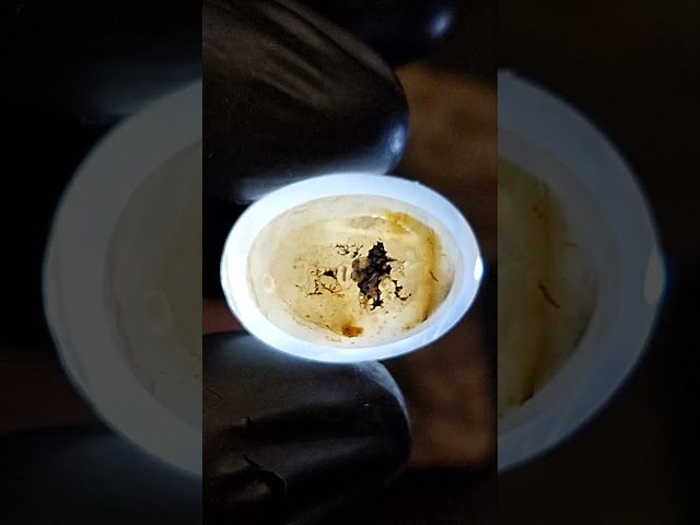 حجر عقيق ابيض سليماني طبيعي