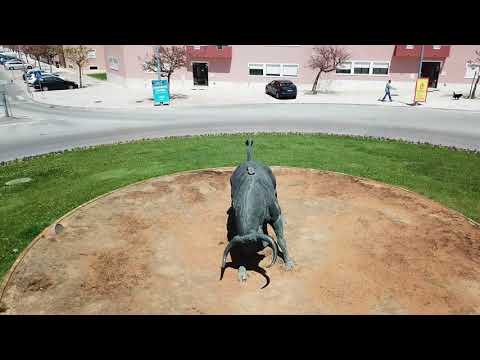 Moita do Ribatejo - vista aérea com Drone