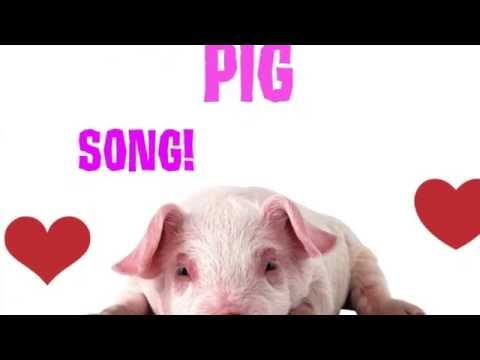 THE BIG PIG SONG