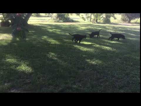 Out for a run everyday