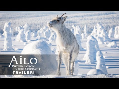 AILO - PIENEN PORON SUURI SEIKKAILU elokuvateattereissa 21.12.2018 (teaser)